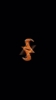 分部调回本部！两届MVP得主SGA官宣回到耐克！