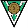 胡萨维克